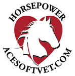 ACESoft Business Manager logo