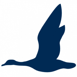 Art of Mentoring logo