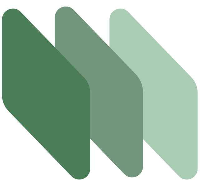 BankStmtConverter logo