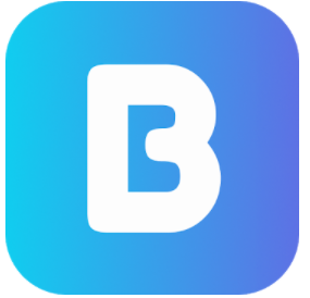 Biznage logo