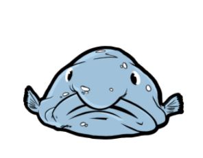 BlobFish Activity Hub logo