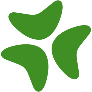 Bloomerang