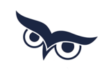 BrightOwl  logo