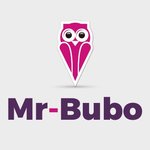 Bubo Management logo
