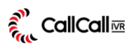 CallCallIVR logo