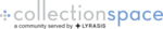 CollectionSpace logo