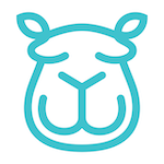 Content Camel logo