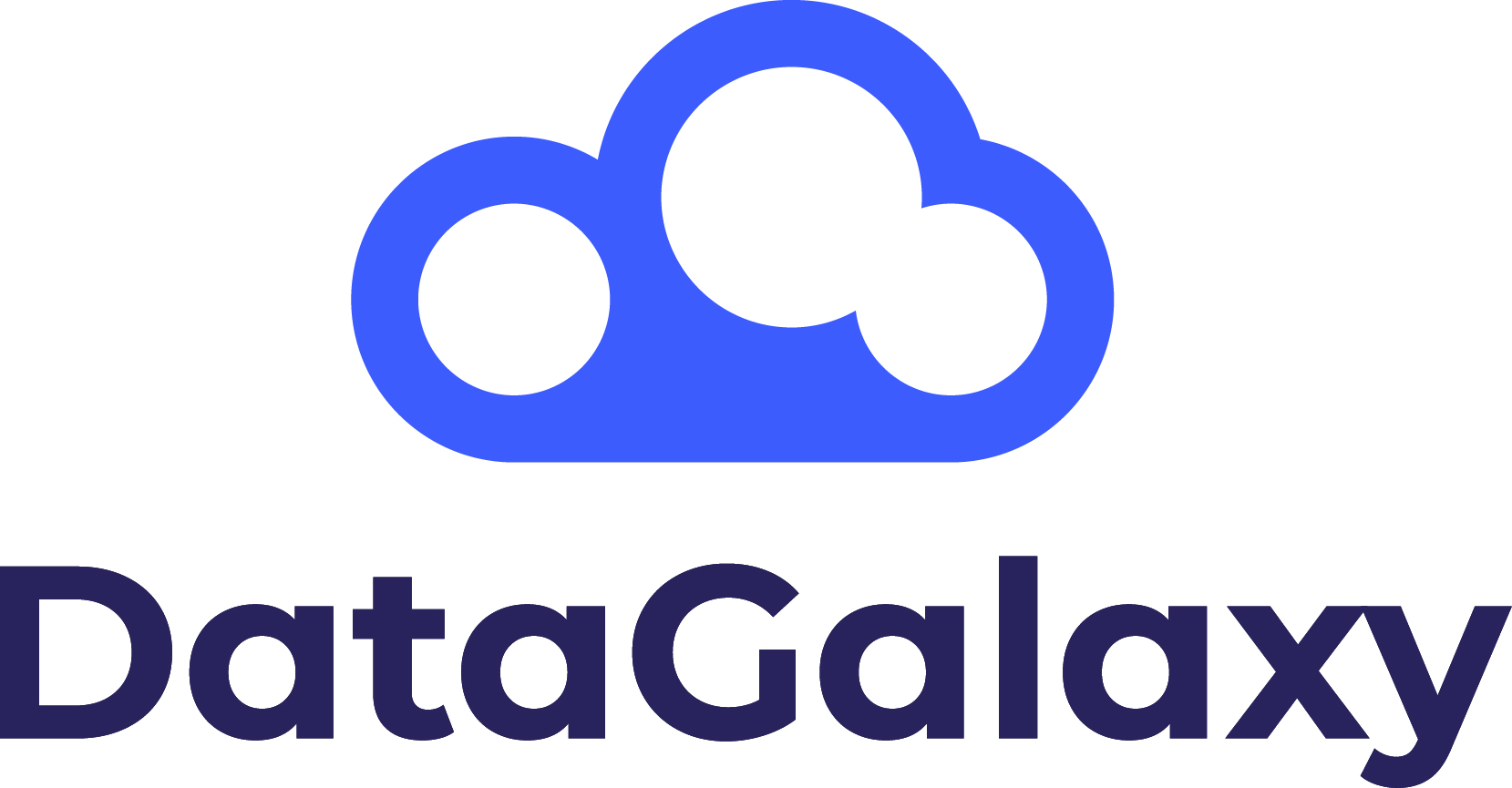 DataGalaxy logo