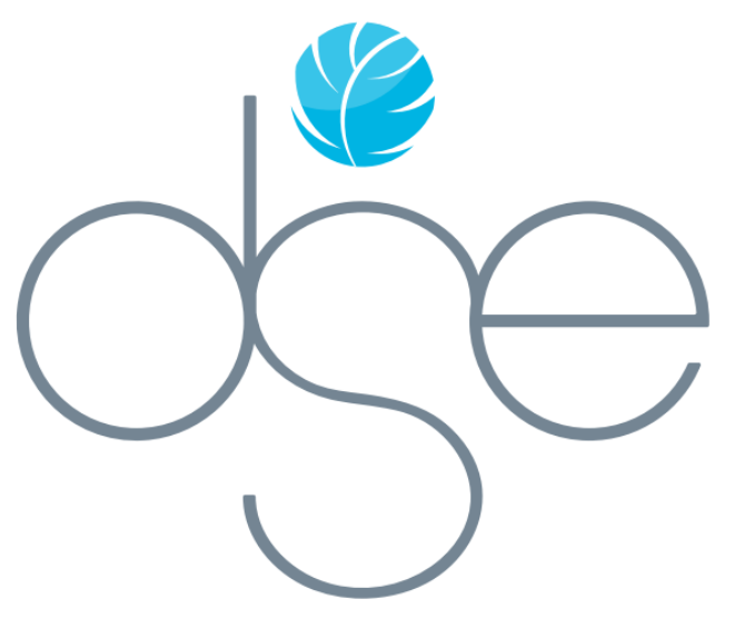 DSE Rec Center logo