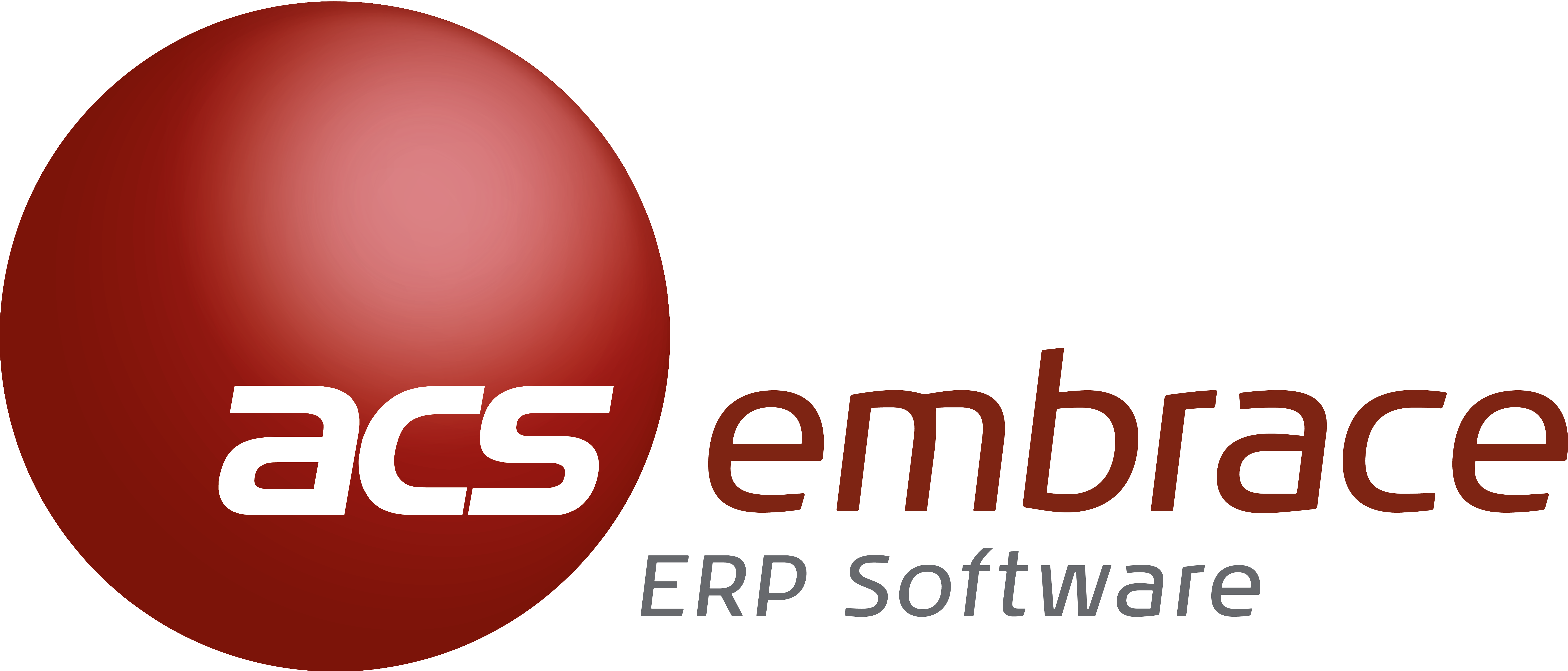 Embrace ERP logo