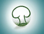 eMed logo