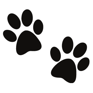 Empowered Breeder logo