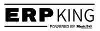 ERP KING logo