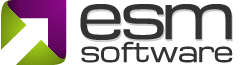 ESM+Strategy logo