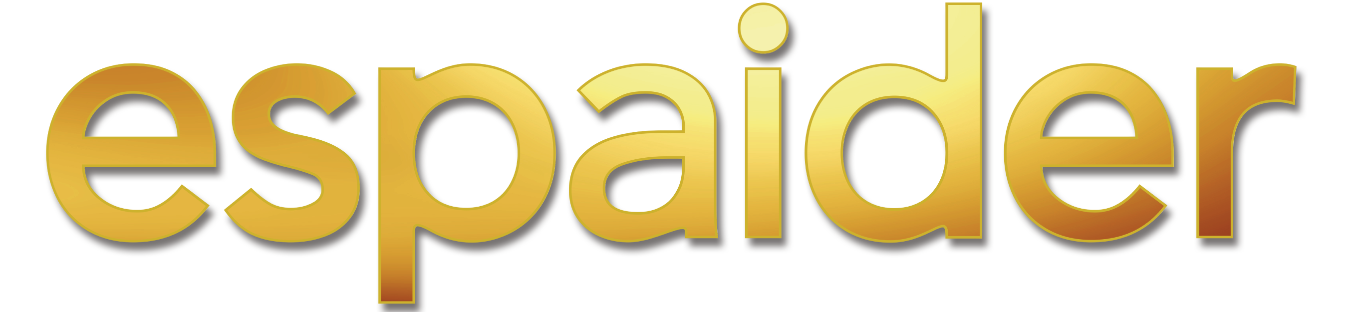 Espaider logo