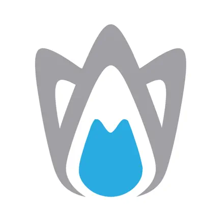 FELG Dent logo