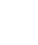 Findur logo