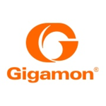 Gigamon Visibility and Analytics Fabric logo