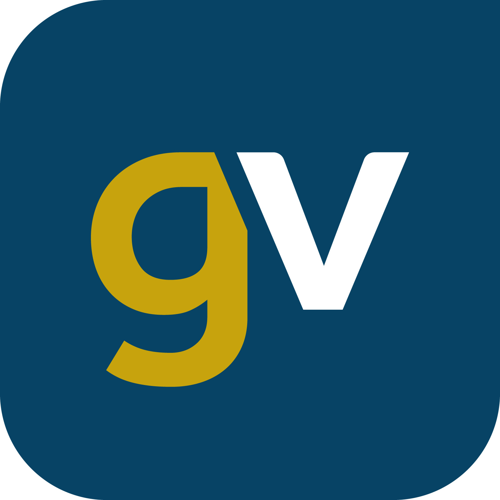 Gold-Vision CRM logo