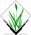 GRASS GIS logo