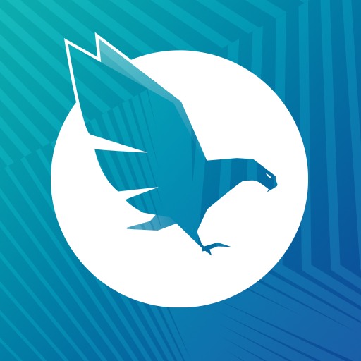 Hawk logo