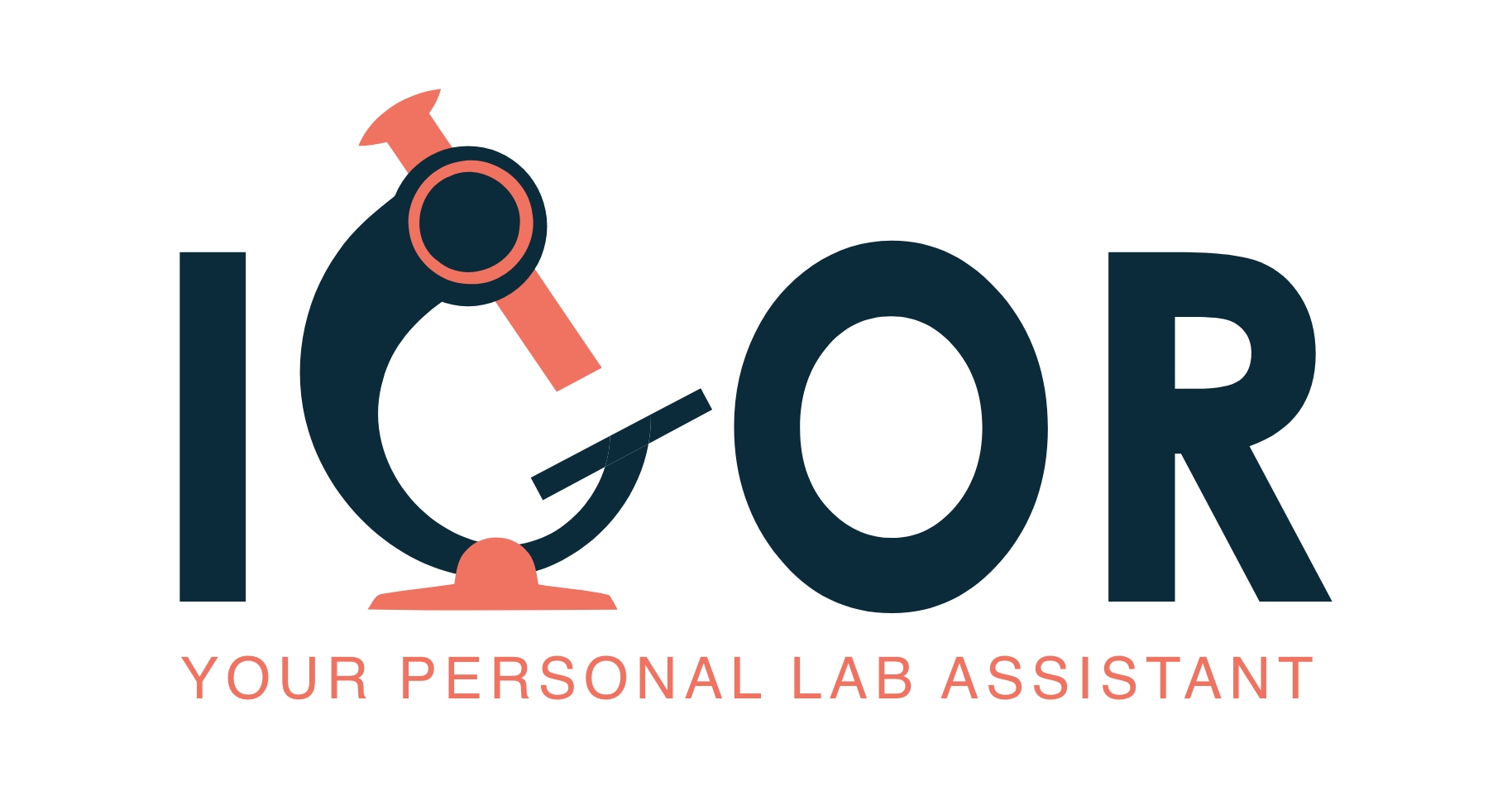 IGOR logo