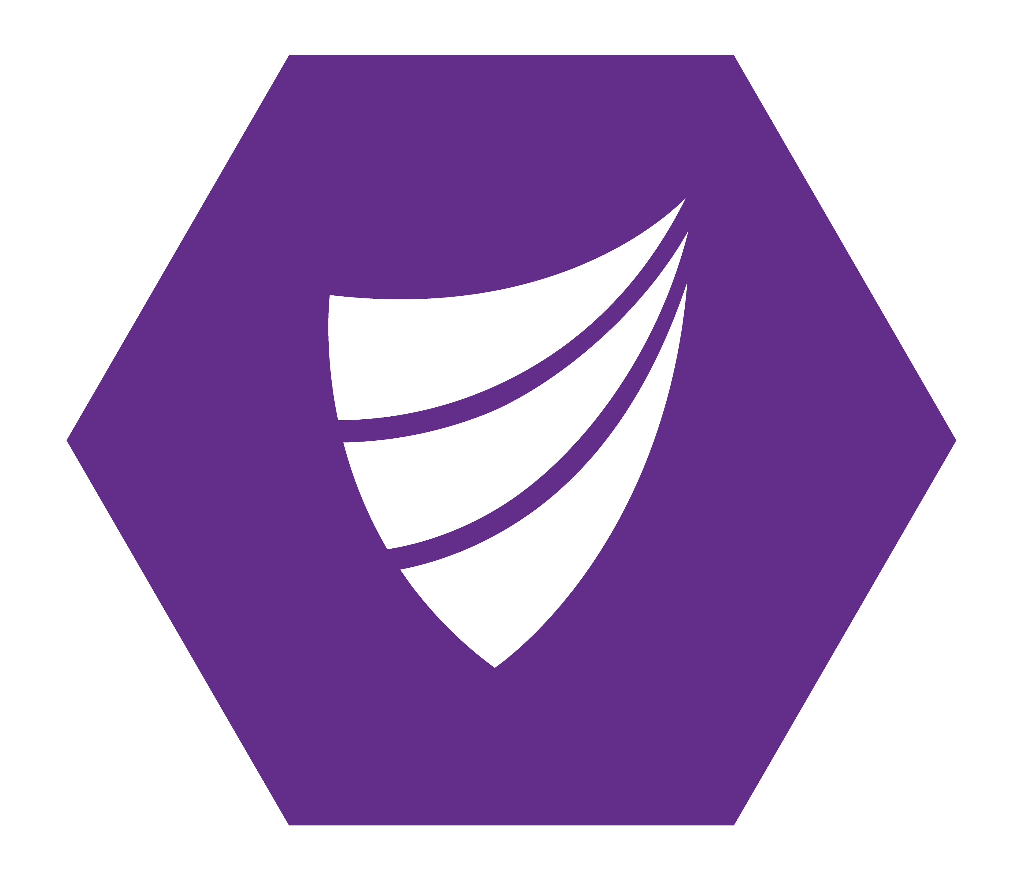 Integrum logo