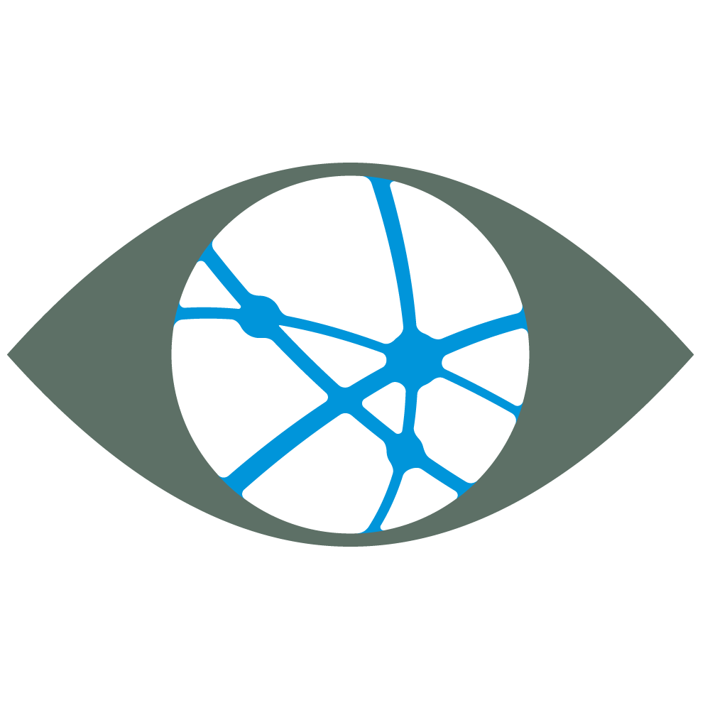iVision Mobile