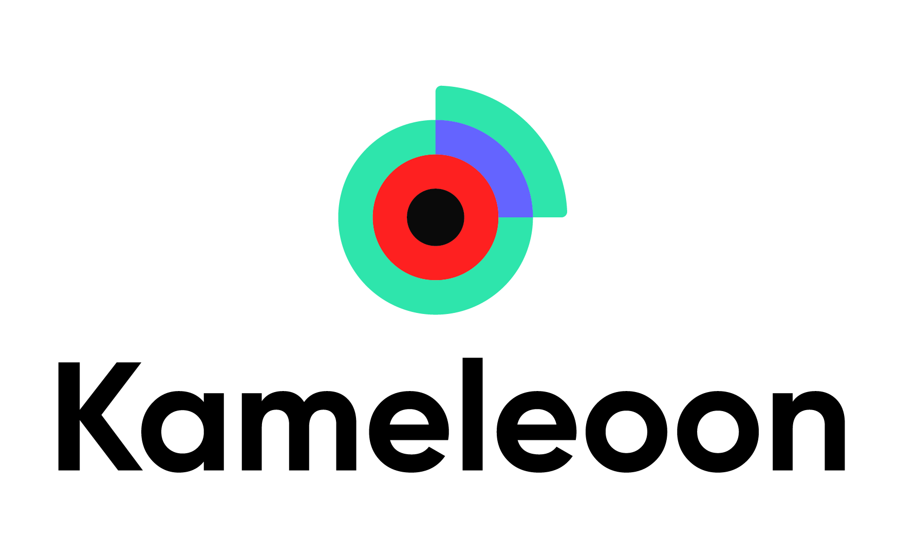 Kameleoon logo