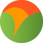 Mango logo