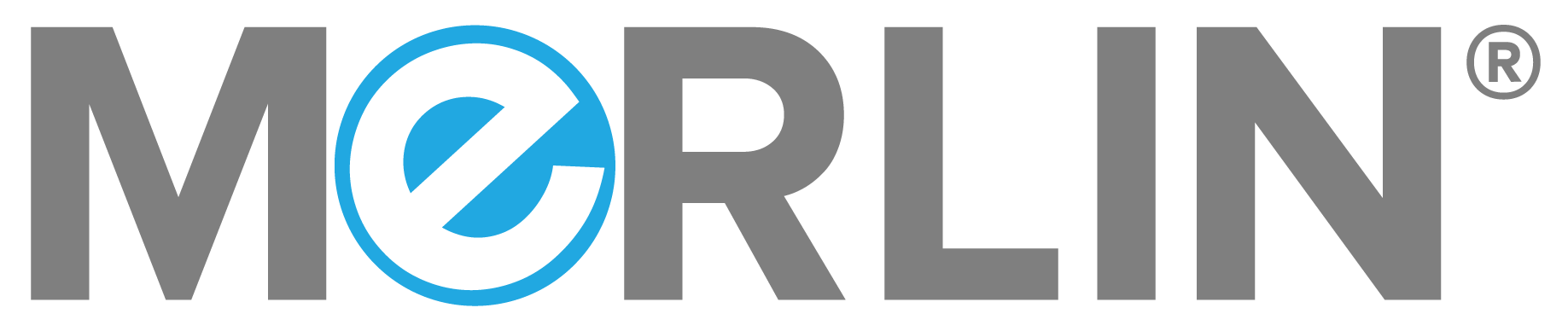 MeRLIN logo