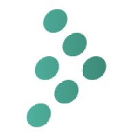 Mirrors logo
