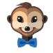 Mr Suricate logo