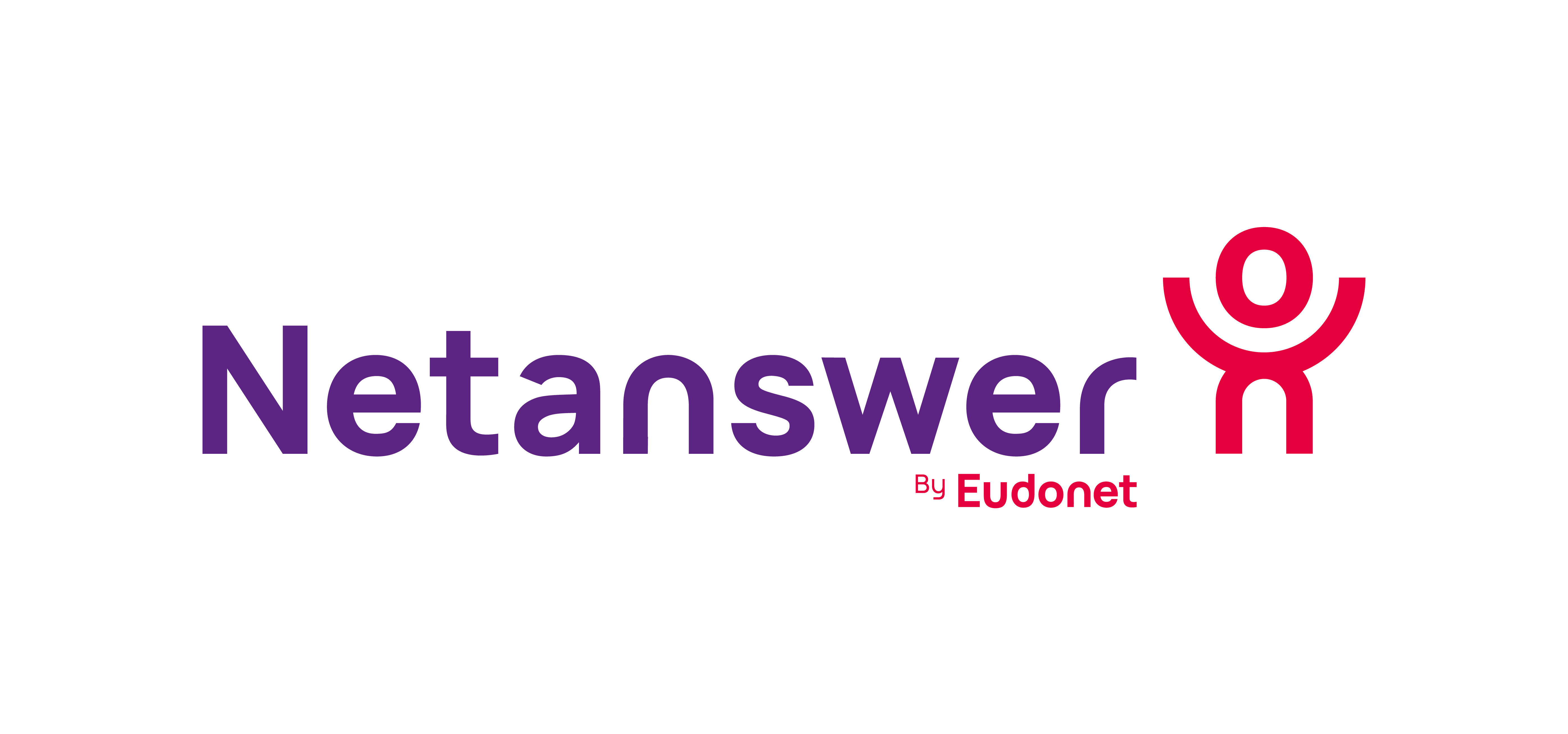 NetAnswer logo