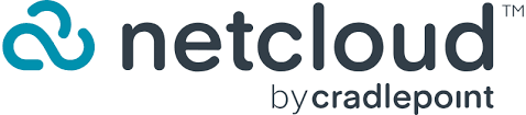 NetCloud SASE logo
