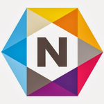 NETGEAR ProSAFE VPN Client Professional logo