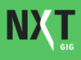 Nxtgig.ai Skill Assessment logo
