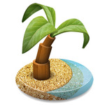 Oasis Insight logo