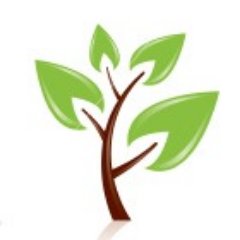 OneVoice logo