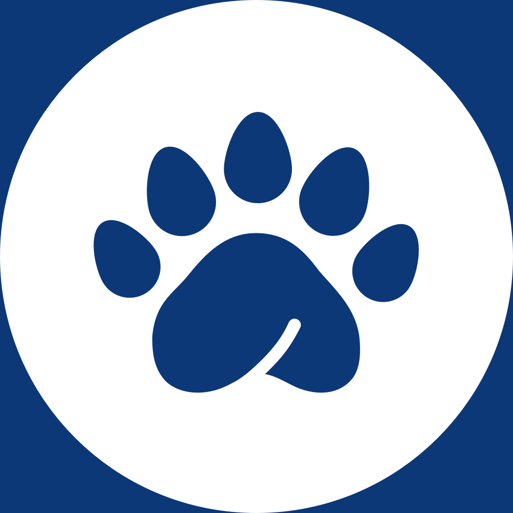 Pandapé logo