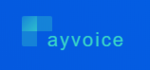 Payvoice logo