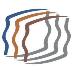 PDMPlus logo