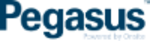 Pegasus.net logo