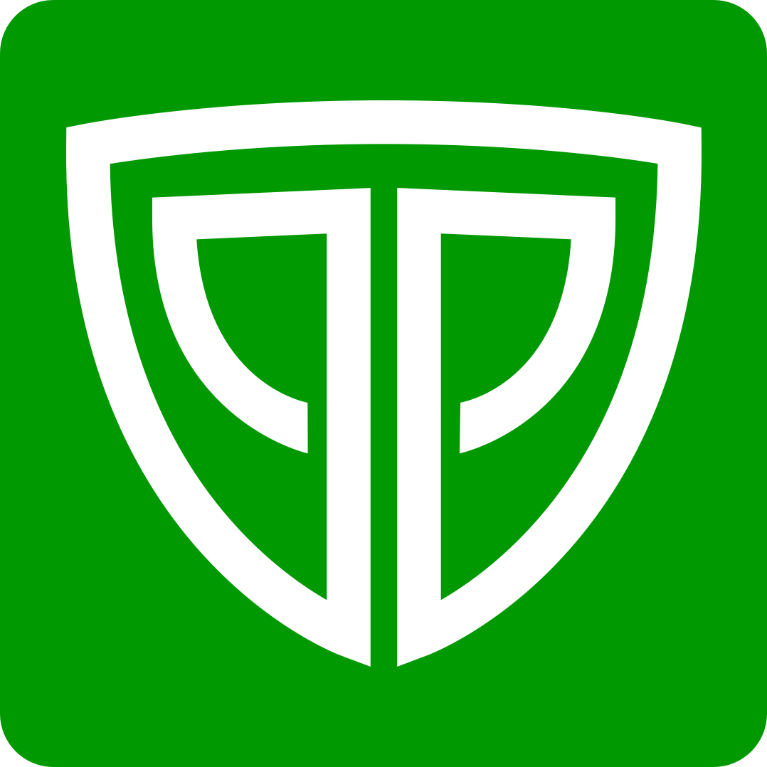PLAYINGA logo
