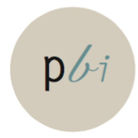 PlugBI logo