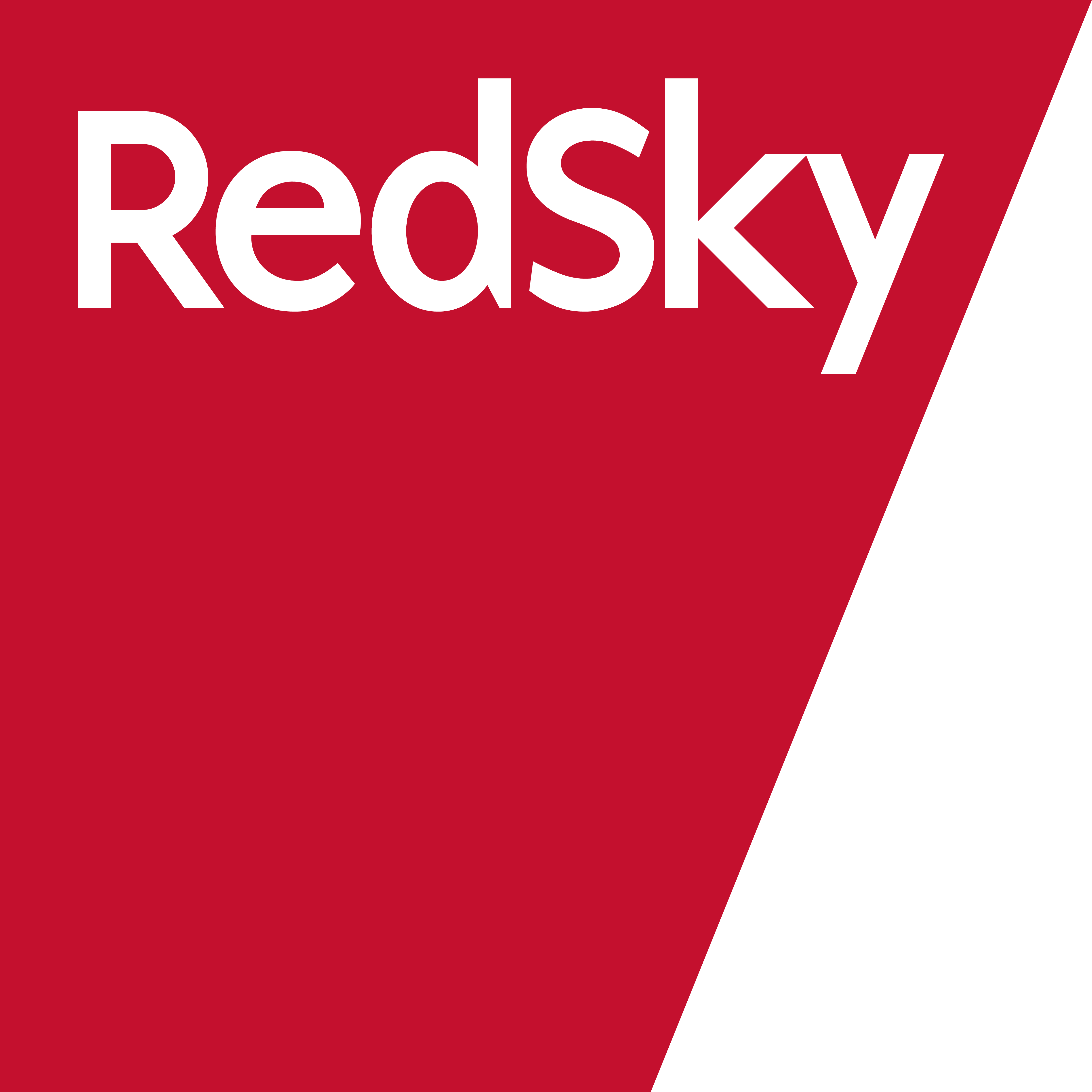 Redsky ERP logo