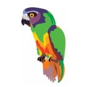 Senegal Software logo