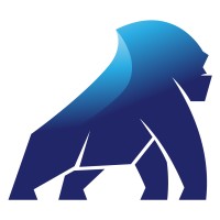 Silverback Systems logo