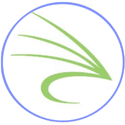 Snowfly logo