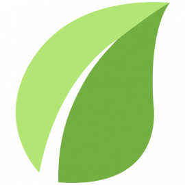 Solvemint logo